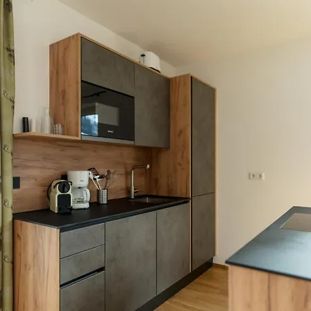 Sonnenhaus By Schladming-appartements * Шладмінг